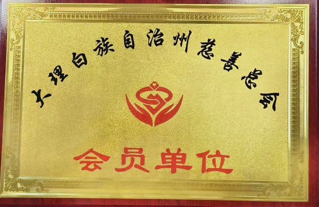 大理白族自治州慈善总会---会员单位